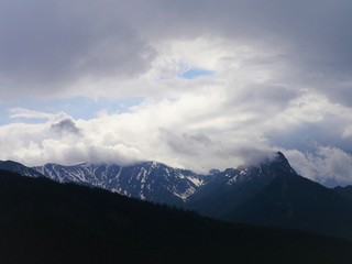 Obraz premium Mountains in the Summer. 