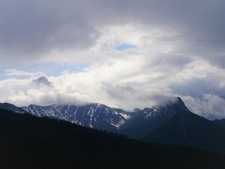 Mountains in the Summer. 