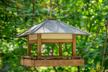 The birdhouse on the tree in a city park