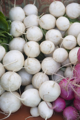 White Organic Radishes