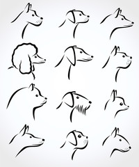 Dogs set. Vector