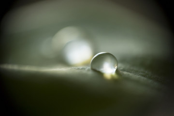 Life miracle/Macro picture of a small water drop shining in the back light as a symbol for water importance in life sustainability.