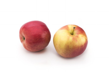 Red apples on a white background