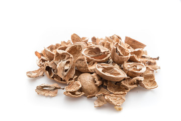 Pile of shells nutshells