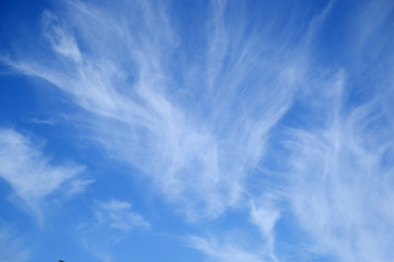 Background with the image of sky