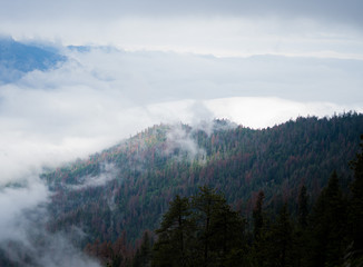 A cloudy mountain landscape overlooking a large forest.