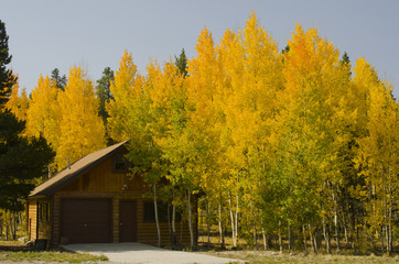 Obraz premium Autumn Colors Around Cabin in the Rocky Mountains