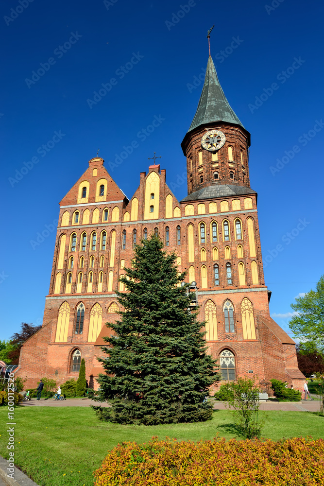 Canvas Prints Konigsberg Cathedral. Kaliningrad, formerly Koenigsberg, Russia