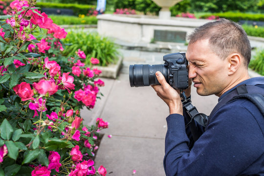 Side portrait closeup of young man professional photographer taking pictures of red and pink blooming roses with water drops in park