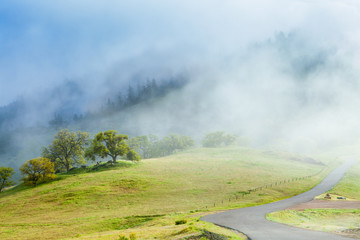 road over Figueroa Mountain, near Santa Barbara, California