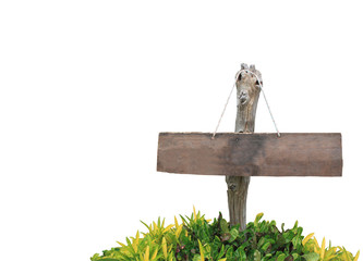 Wooden sign isolated on white background with clipping path.