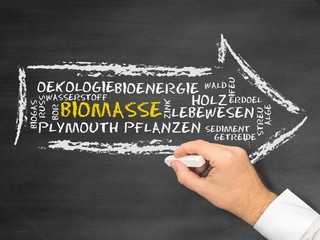 Biomasse