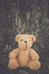 Alone bear doll,very sad,alone,lonely