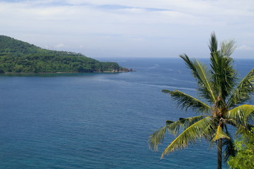 Fototapeta na wymiar Sea view with coconut tree of Lombok indonesia. 