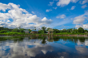 Fototapeta na wymiar Jungle reflected on the river, inside of the amazon rain forest of Cuyabeno Natiional Park in Ecuador