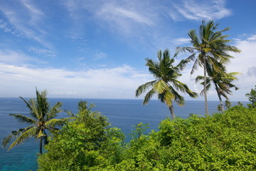 Sea view with coconut tree of Lombok indonesia. 