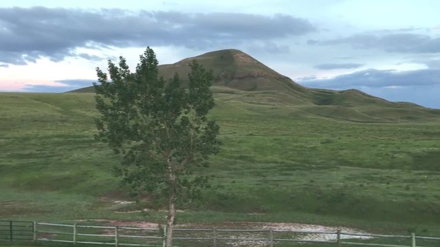 Lush and Green Hillside Panorama at Sunrise or Sunset