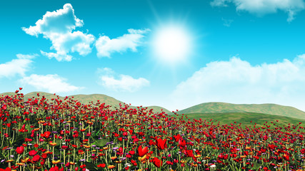Fototapety  3D poppy field landscape