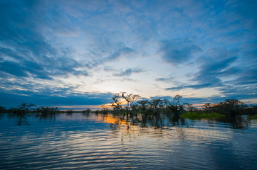 Sunset silhouetting a flooded jungle in Laguna Grande, in the Cuyabeno Wildlife Reserve, Amazon...