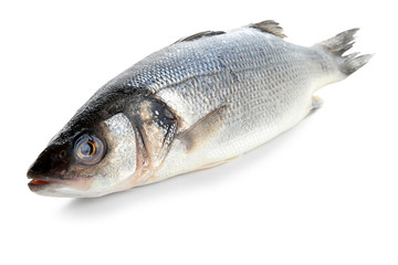 Fresh raw fish on white background, closeup