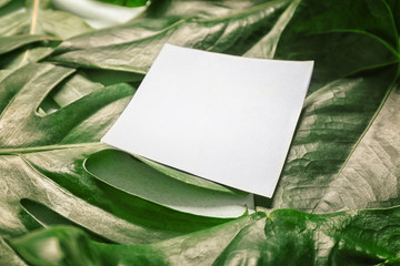 Sheet of paper with place for text and green tropical leaves on background