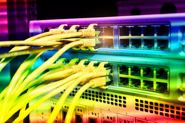 network cables connected to switch hub