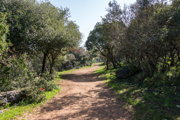 Alonei Abba nature reserve at Spring