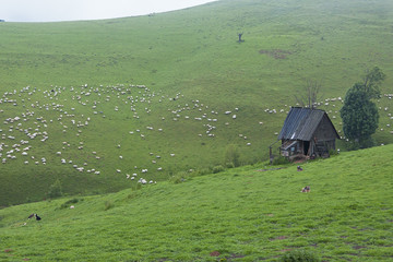 Picturesque image of Romania 