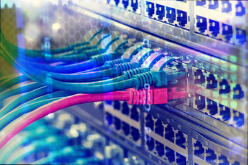 Information Technology Computer Network, Telecommunication Ethernet Cables Connected to Internet Switch.