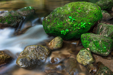Water stream past rocks with smooth flowing water.it is the little river in rainforest.