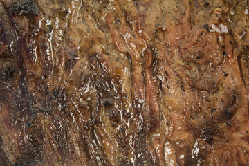 Close up of fire wood grilled boneless Beef steak. Great for texture. Narrow Aperture shot especially for texture use.