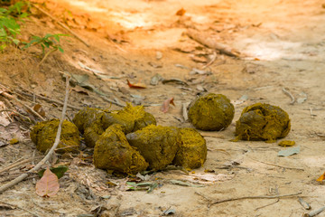 Golden water bokeh in sunset.


