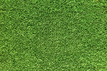 Obraz premium Artificial Green Grass