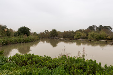 Visit to Ein Afek nature reserve