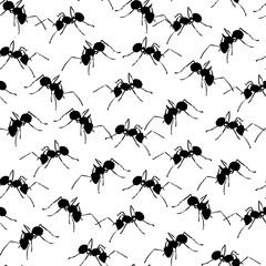 Black ants on white seamless background.