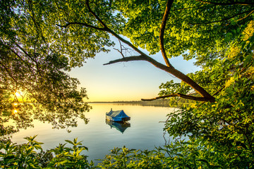 Lake with reed and sailboat at sunrise in a nature reserve