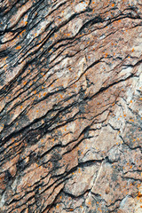  close up of the coastline stone  abstract