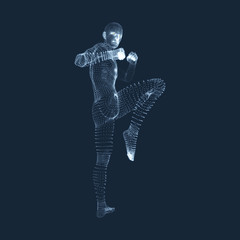 Kickbox Fighter Preparing to Execute a High Kick. Fitness, Sport, Training and Martial Arts Concept. 3D Model of Man. Human Body. Design Element. Vector Illustration.