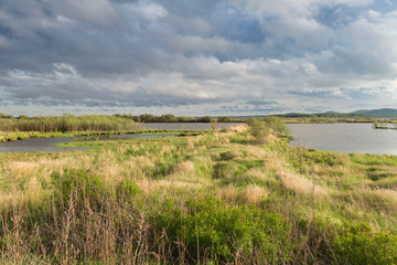 Khabarovsk Krai in the Russian Far East bays of the Lake by the name of Milki.