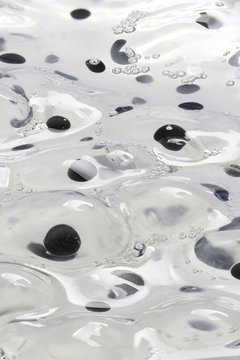 Frog spawn, graphical image