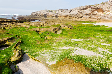  in south africa   sky ocean    reserve