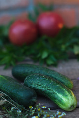Fresh cucumber from the garden on a wooden background.