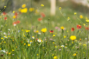 Hike at Midras Ruins