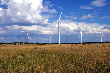 Clean Wind Power Generators at the field with blue sky and white clouds on background