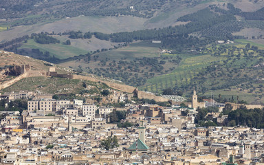 Aerial view of the old Medina in Fes (Fes El Bali Medina) with olive groves in background, Morocco