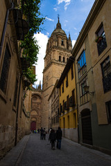 Naklejka premium Vista della cattedrale, Salamanca - Spagna
