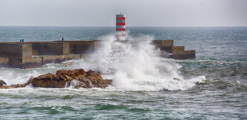 Faro di oporto