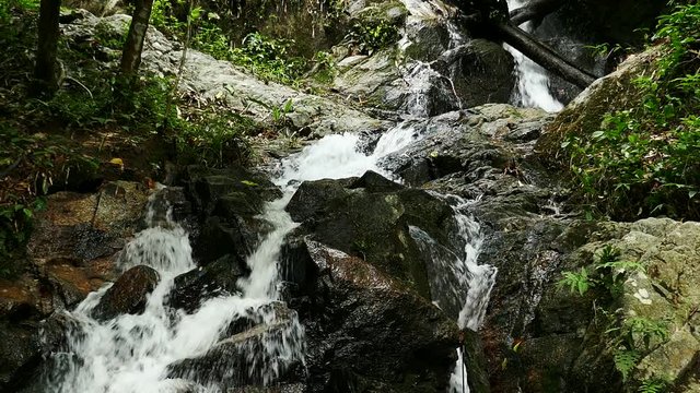 rushing waterfall in the mountains with tropical forest. Beautiful nature background.