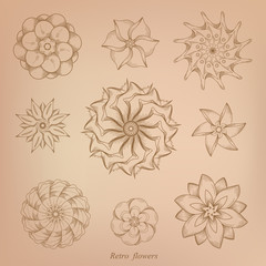 Retro flowers