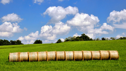 Hay in the meadow © remoarcaro